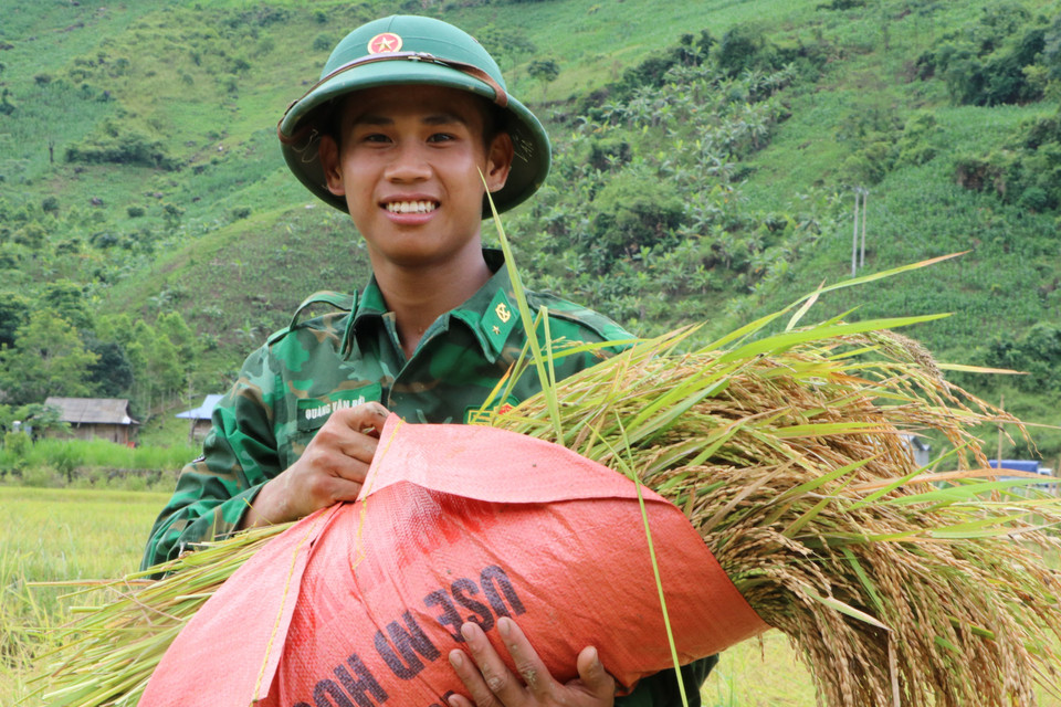 Gương mặt tươi cười của một chiến sỹ mới khi giúp dân gặt lúa "chạy mưa". (Ảnh: Nguyễn Oanh/TTXVN)