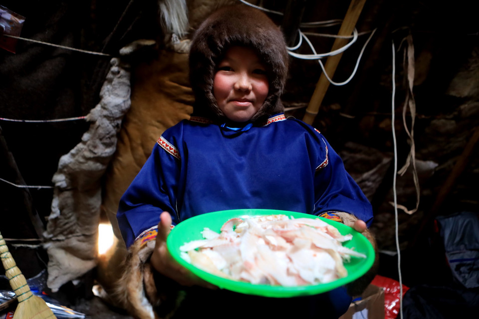Ngoài thịt tuần lộc, món cá tươi đóng băng là món ăn quen thuộc của người dân du mục Nenets. (Ảnh: Trần Hiếu/TTXVN)