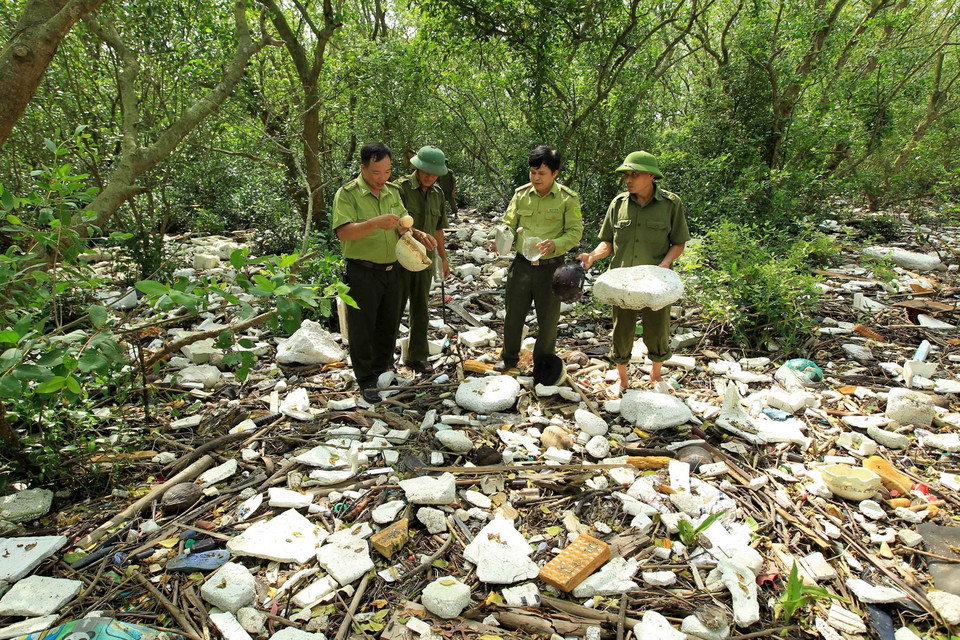 Rất nhiều rác thải như: xốp, bóng điện, chai lọ, nilon, rác thải sinh hoạt... từ cửa biển, cửa sông trôi dạt vào và mắc kẹt lại trong khu rừng phòng hộ thuộc xã Tiên Hưng, huyện Tiên Lãng, thành phố Hải Phòng. (Ảnh: An Đăng/TTXVN)