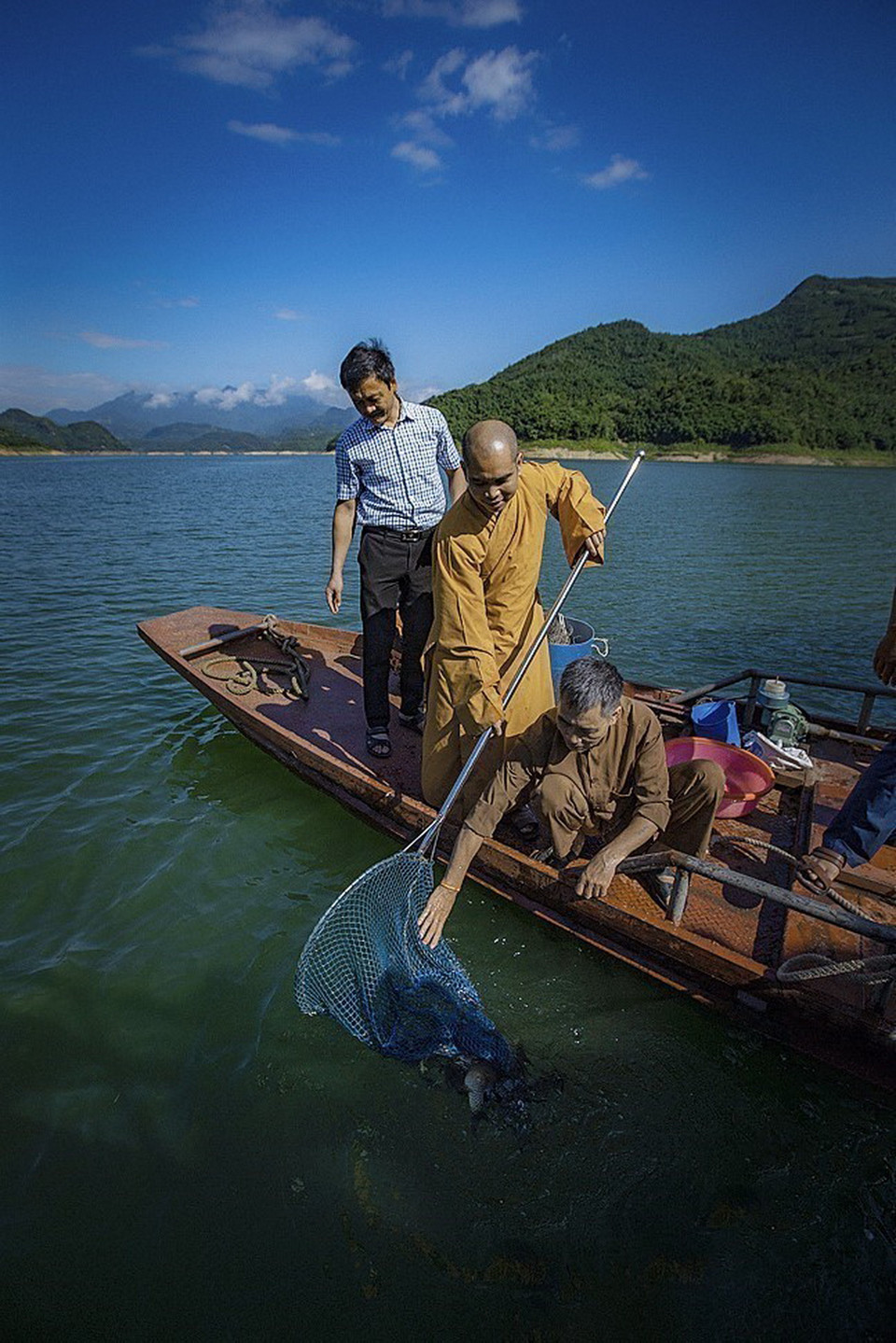 Đại đức Thích Trí Thịnh, Phó Trưởng Ban Trị sự Giáo hội Phật giáo tỉnh Hòa Bình cùng các cán bộ Chi cục Thủy sản tỉnh thả cá phóng sinh, tái tạo, bổ sung nguồn lợi thủy sản hồ Hòa Bình. (Ảnh: Trọng Đạt/TTXVN)