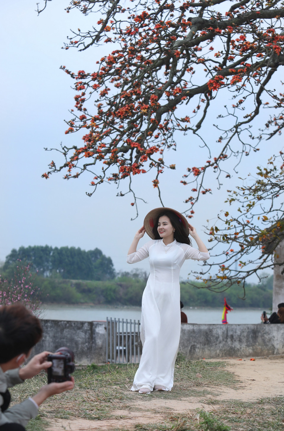 Du khách khắp thập phương đổ về đây mỗi dịp hoa nở để chụp ảnh. (Ảnh: Danh Lam/TTXVN)