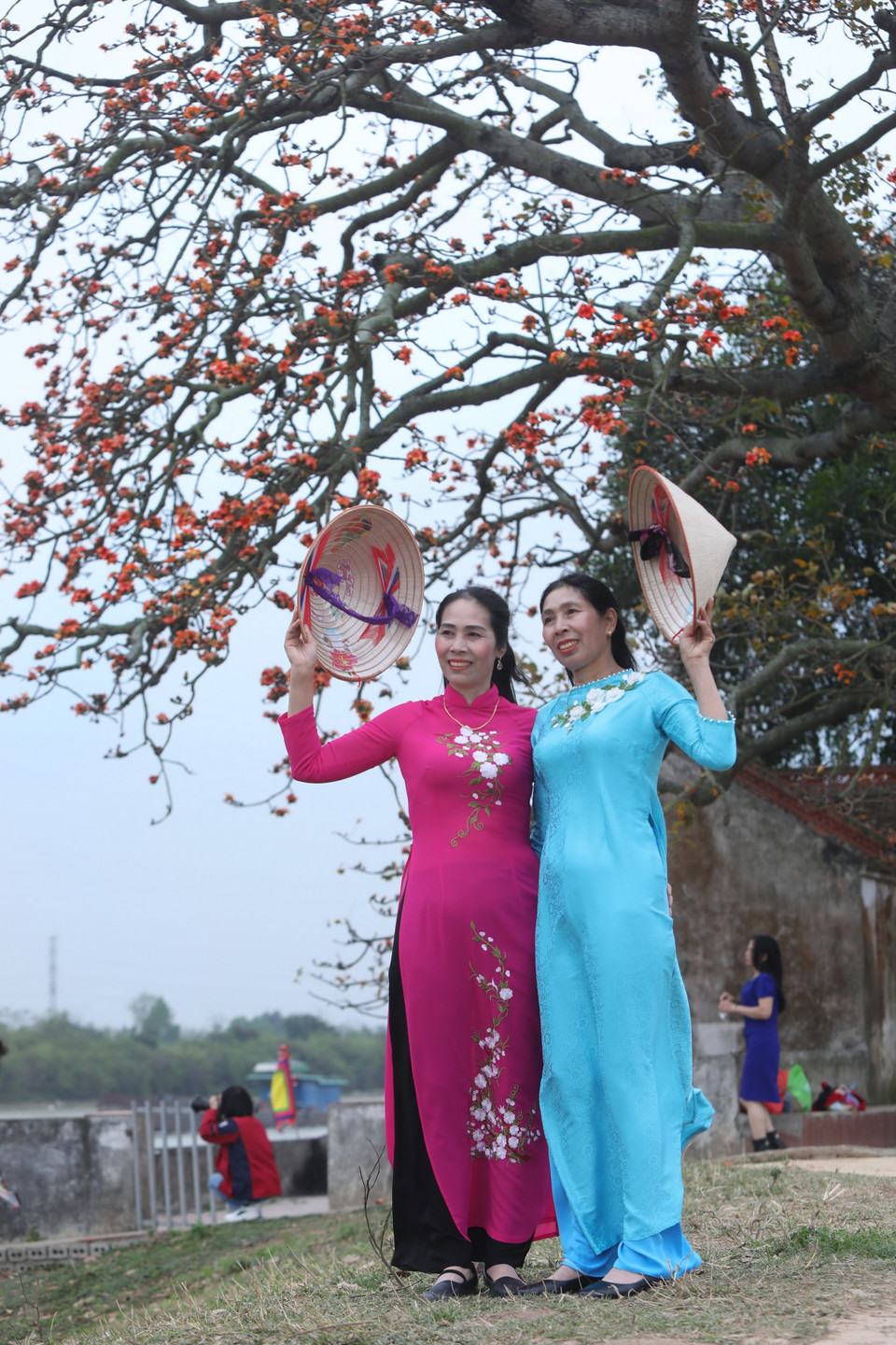 Du khách khắp thập phương đổ về đây mỗi dịp hoa nở để chụp ảnh. (Ảnh: Danh Lam/TTXVN)