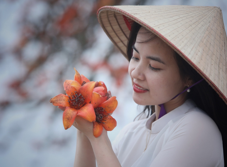 Du khách thích thú chụp ảnh cùng những bông hoa gạo. (Ảnh: Danh Lam/TTXVN)