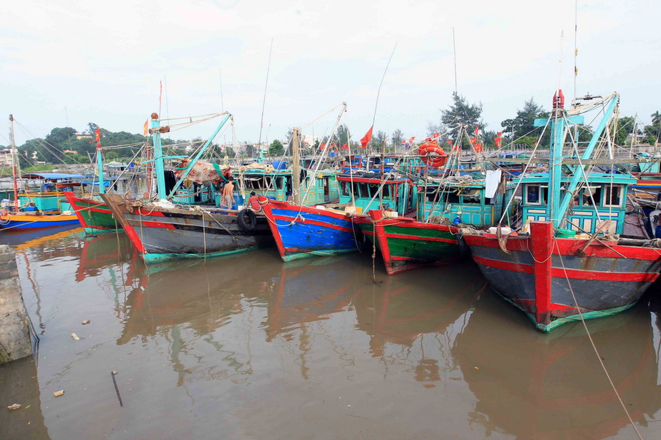 Thành phố chỉ đạo đặc biệt huy động lực lượng thường trực 24/24 giờ tại những khu vực xung yếu để xử lý nhanh khi sự cố xảy ra. (Ảnh: An Đăng/TTXVN)