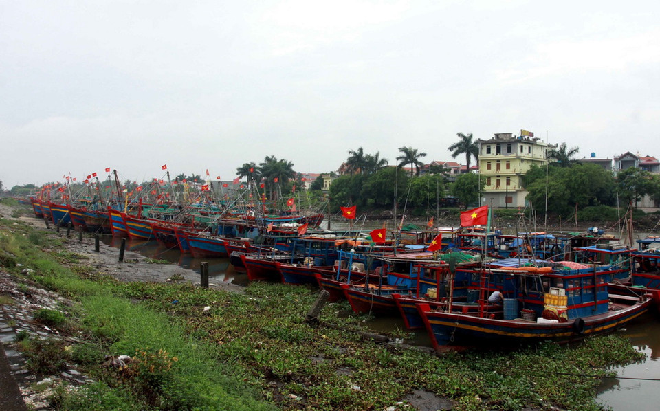 Tàu thuyền neo đậu tránh bão số 4 tại cảng Tân Sơn, huyện Thái Thụy, Thái Bình. (Ảnh: Thế Duyệt/TTXVN)