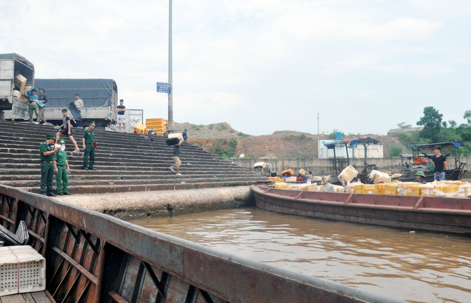 Bộ đội Biên phòng Quảng Ninh thông báo cho các chủ phương tiện tàu thuyền nhanh chóng vận chuyển xếp dỡ hàng hóa, đưa thuyền vào neo đậu an toàn trước khi bão số 4 đổ bộ. (Ảnh: Văn Đức/TTXVN)