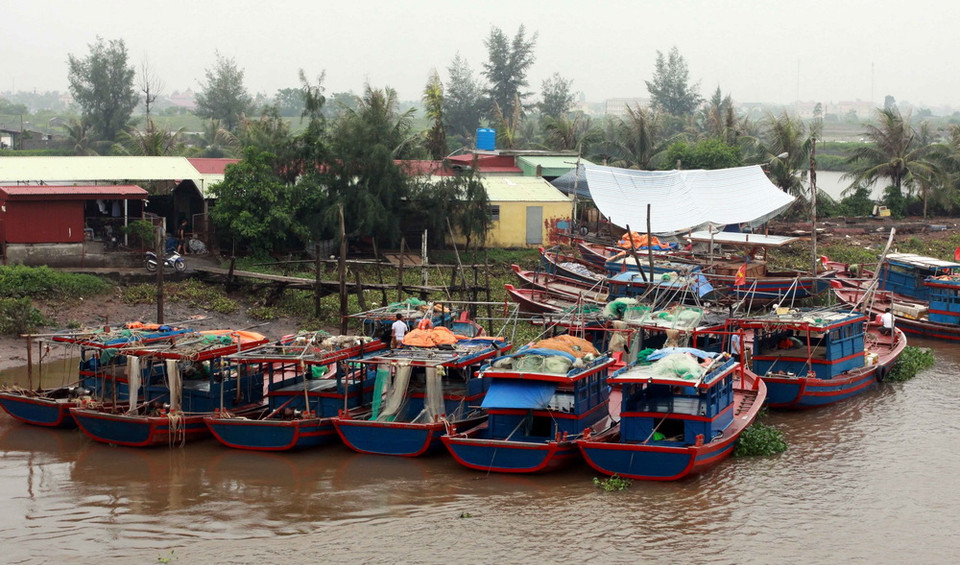 Hiện các tàu, thuyền của ngư dân trong tỉnh đã vào nơi tránh trú an toàn, trong đó 1.139 phương tiện với 3.154 lao động đang neo đậu tại các bến trong tỉnh; 78 phương tiện với 382 lao động đang hoạt động, neo đậu các bến ngoài tỉnh. (Ảnh: Thế Duyệt/TTXVN)
