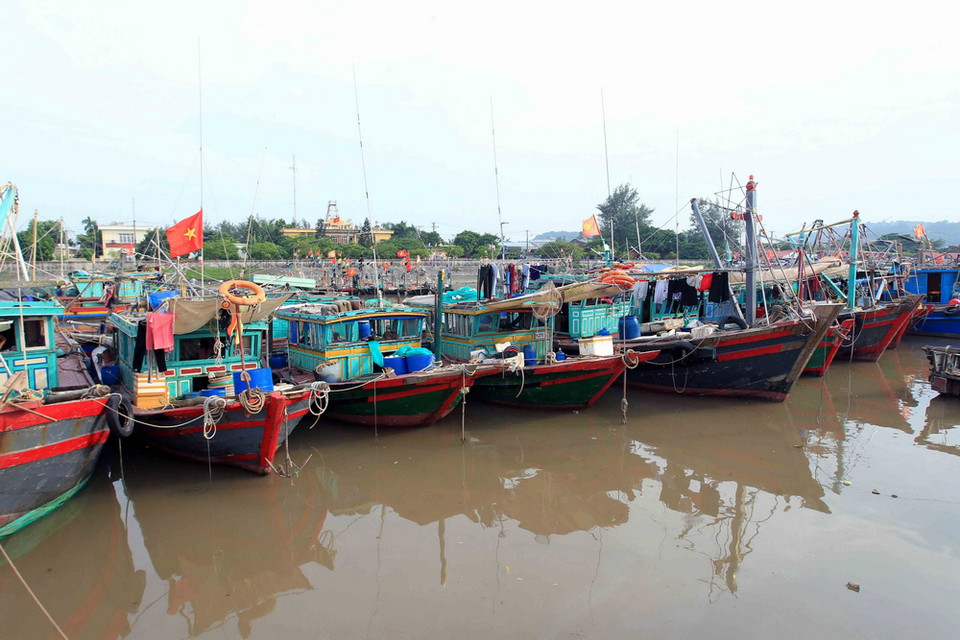 Tàu, thuyền neo đậu tránh bão an toàn tại khu cảng cá Ngọc Hải, Đồ Sơn. (Ảnh: An Đăng/TTXVN)