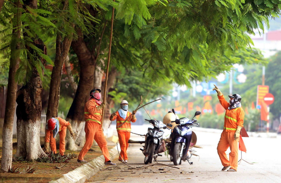 Để chủ động phòng chống bão số 4, thành phố Hải Phòng đang quyết liệt chỉ đạo các địa phương, đơn vị, ban, ngành chủ động các phương án phòng chống bão. (Ảnh: An Đăng/TTXVN)