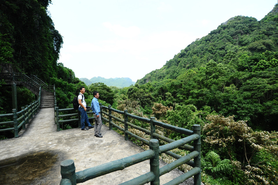 Bên ngoài cửa động, du khách có thể ngắm nhìn sự đa dạng về thực vật của Vườn Quốc gia. (Ảnh: Minh Đức/TTXVN)