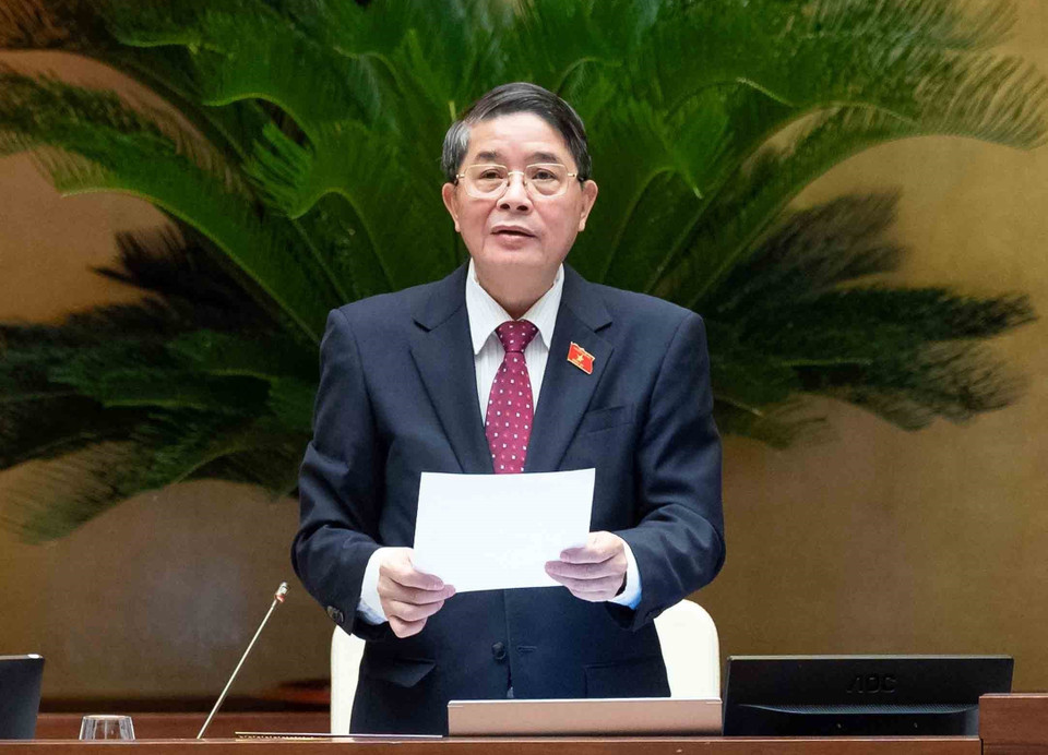 Phó Chủ tịch Quốc hội Nguyễn Đức Hải điều hành phiên họp. (Ảnh: An Đăng/TTXVN)
