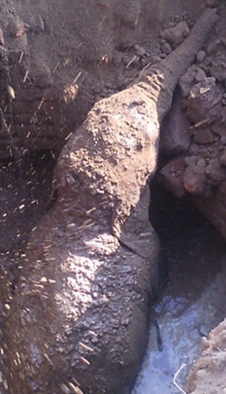 Cảnh tượng trên xảy ra tại Chatra, Ấn Độ. (Nguồn: Caters News Agency)