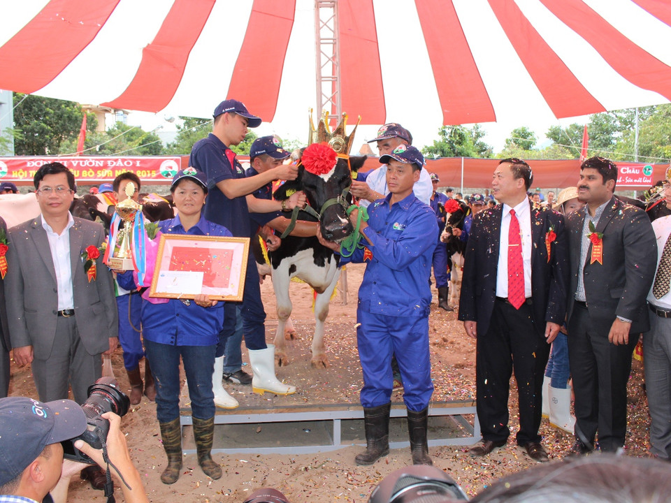 Giải nhất của hội thi dành cho bò sữa đạt 'vương miện' hoa hậu có giá trị 60 triệu đồng. (Ảnh: Hùng Võ/Vietnam+)