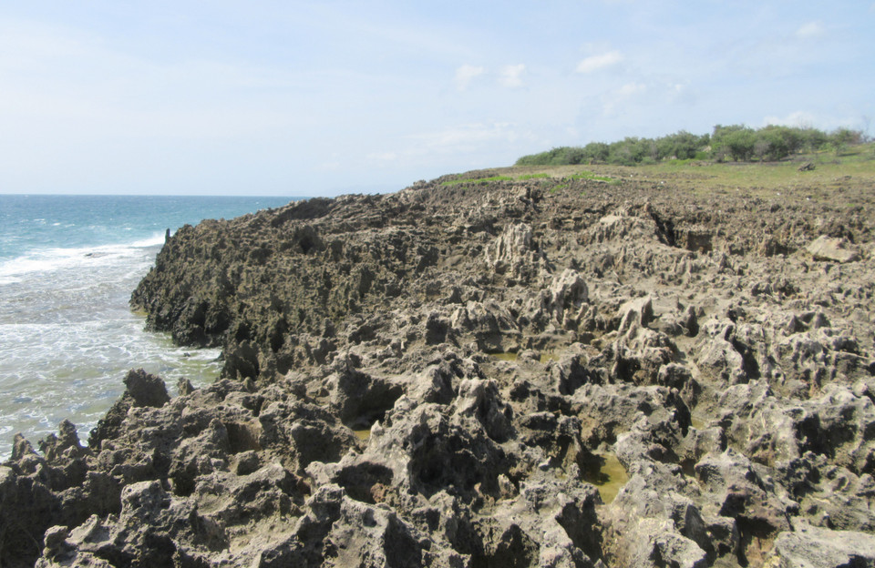 Khung cảnh thiên niên hoang sơ tuyệt đẹp của Hòn Đỏ. (Ảnh: Nguyễn Thành/TTXVN)