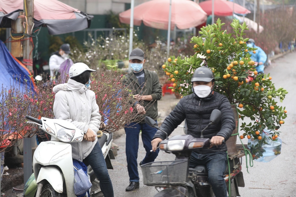 Người dân Thủ đô đến mua đào, quất tại chợ hoa Quảng Bá. (Ảnh: Minh Quyết/TTXVN)