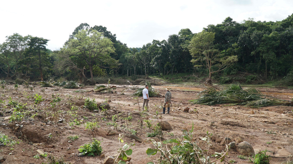 Hàng chục ha hoa màu, cây công nghiệp và cây lương thực của người dân hai bên bờ suối bị nước lũ cuốn trôi. (Ảnh: Hoài Nam/TTXVN)