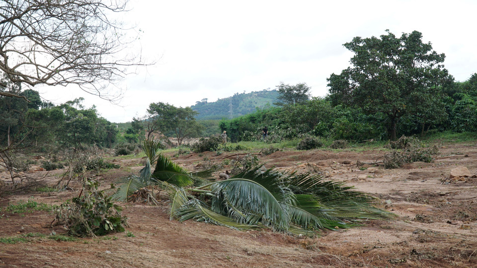 Nhiều diện tích hoa màu của người dân bị nước lũ cuốn trôi. (Ảnh: Hoài Nam/TTXVN)
