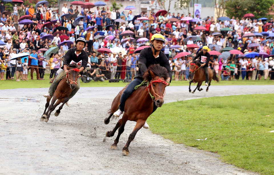 Các nài ngựa tranh tài trên đường đua. (Ảnh: Quốc Khánh/TTXVN)