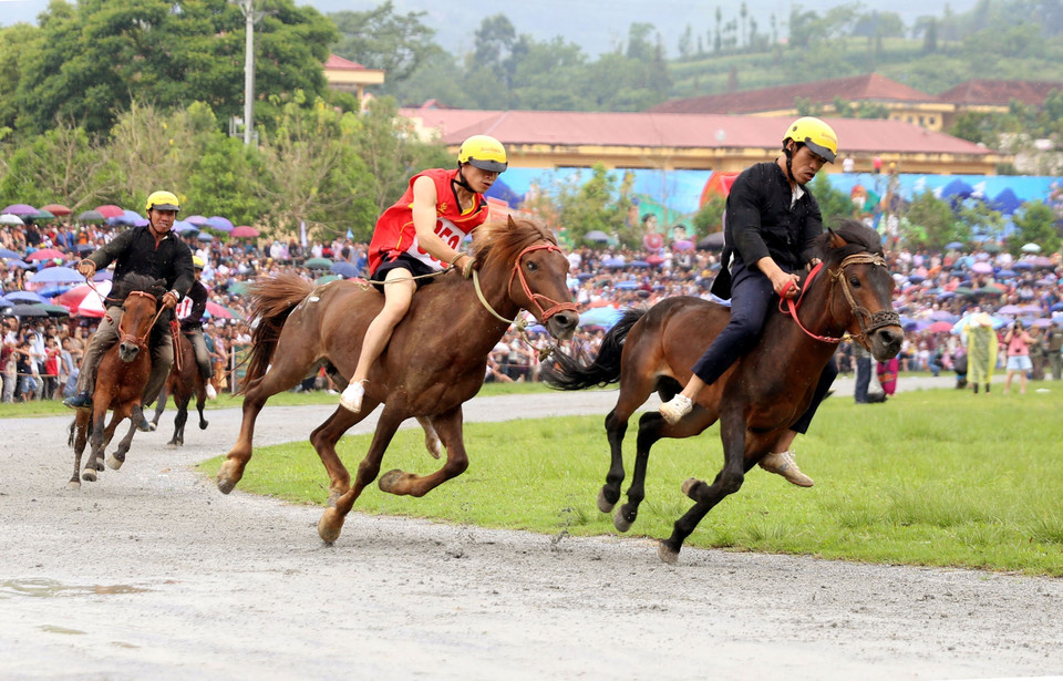 Các nài ngựa tranh tài trên đường đua. (Ảnh: Quốc Khánh/TTXVN)