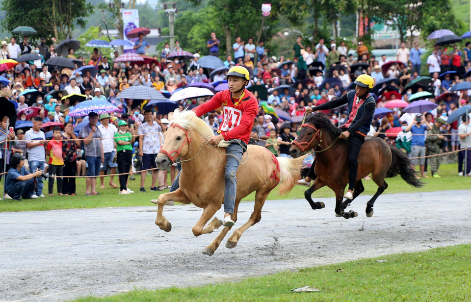 Các nài ngựa tranh tài trên đường đua. (Ảnh: Quốc Khánh/TTXVN)