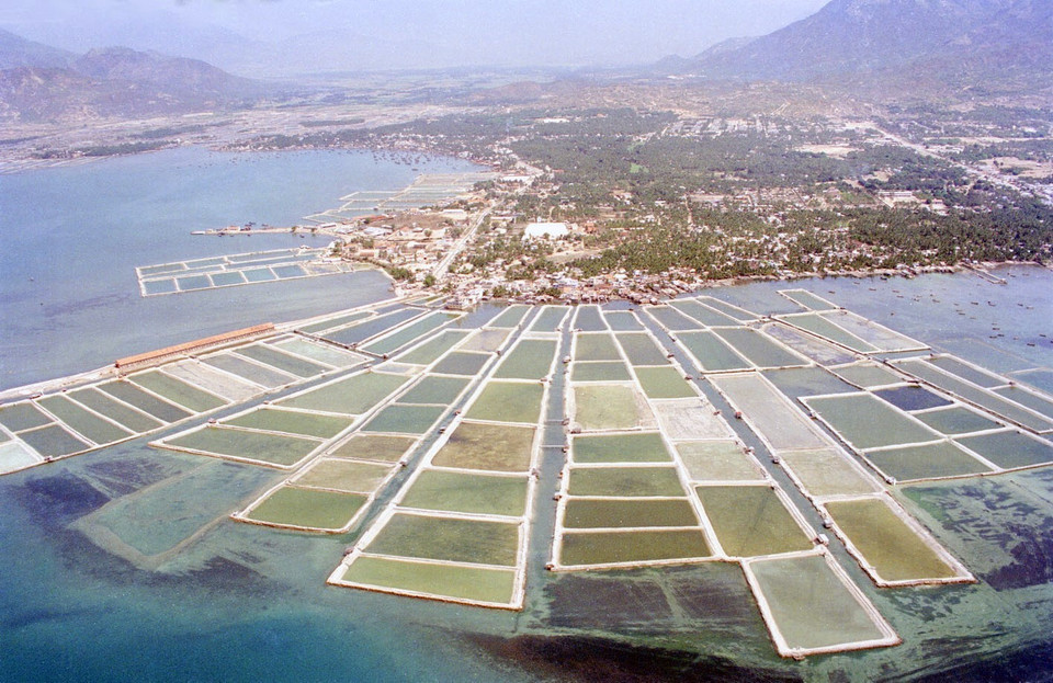  Phát triển nuôi tôm ở Nha Trang, Khánh Hòa năm 1996. (Ảnh: Cao Phong/TTXVN)