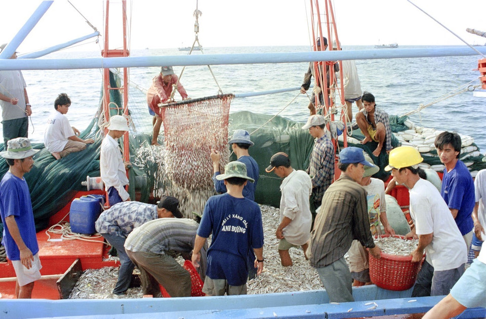  Đánh bắt cá xa bờ tại ngư trường huyện đảo Phú Quốc (Kiên Giang), năm 2000. (Ảnh: Xuân Trường/TTXVN)