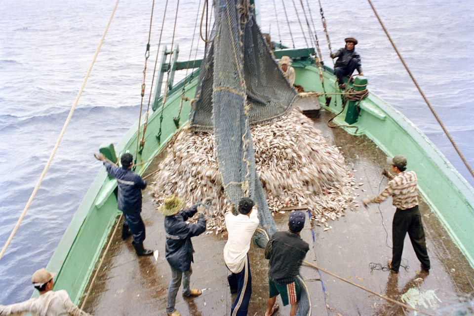  Khai thác thủy sản ở ngư trường Trường Sa (2000). (Ảnh: Xuân Trường/TTXVN)