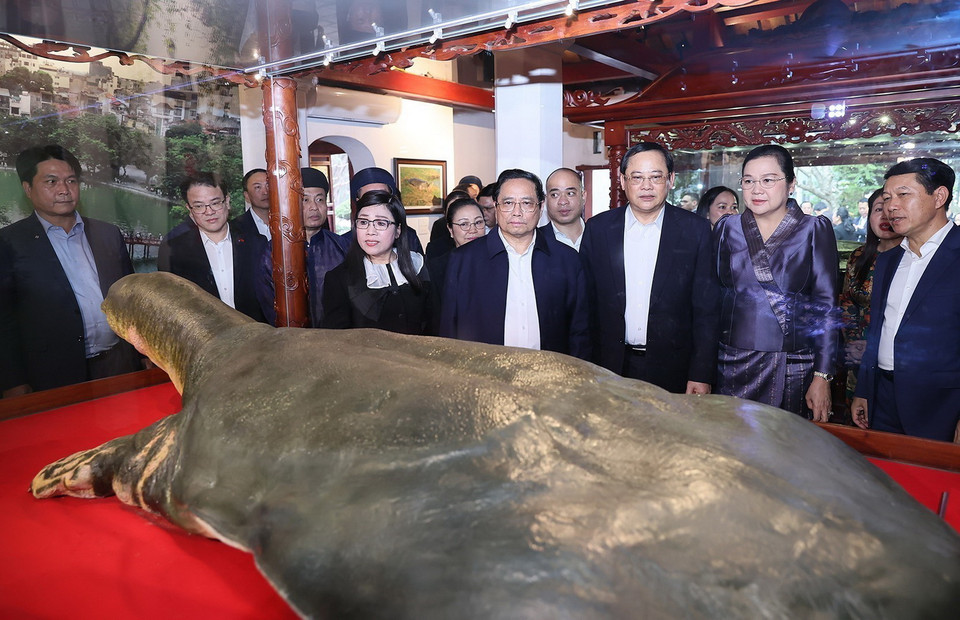 Thủ tướng Phạm Minh Chính và Phu nhân cùng Thủ tướng Sonexay Siphandone và Phu nhân tham quan hai tiêu bản cụ rùa trong Đền Ngọc Sơn. (Ảnh: Dương Giang/TTXVN)