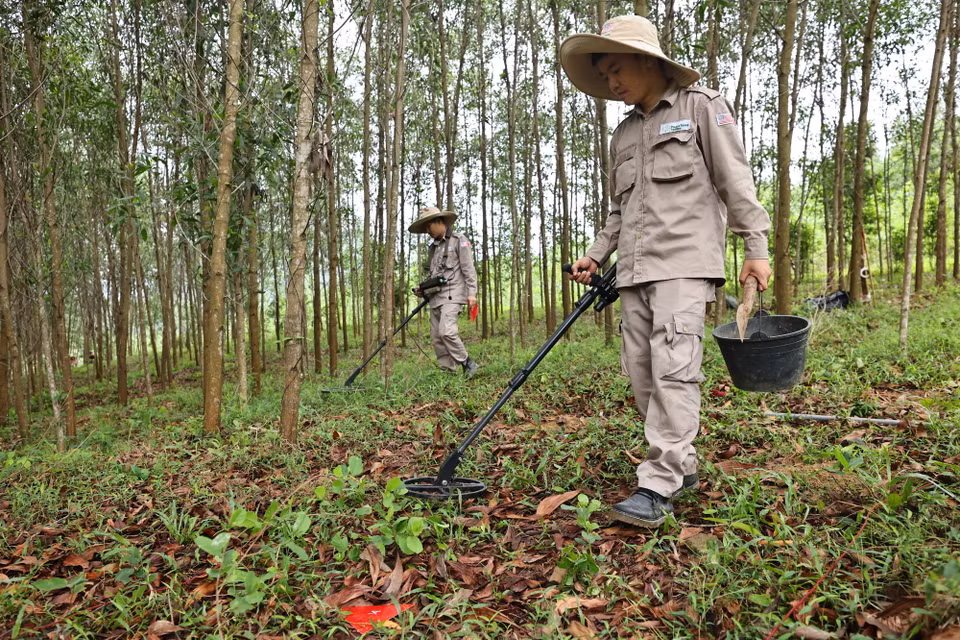 Đội rà phá, bom mìn BAC4 (PeaceTrees Quảng Trị) triển khai làm sạch những vùng đất thuộc huyện Đakrông, đem lại đất sản xuất cho nhân dân. (Ảnh: Minh Đức/TTXVN)