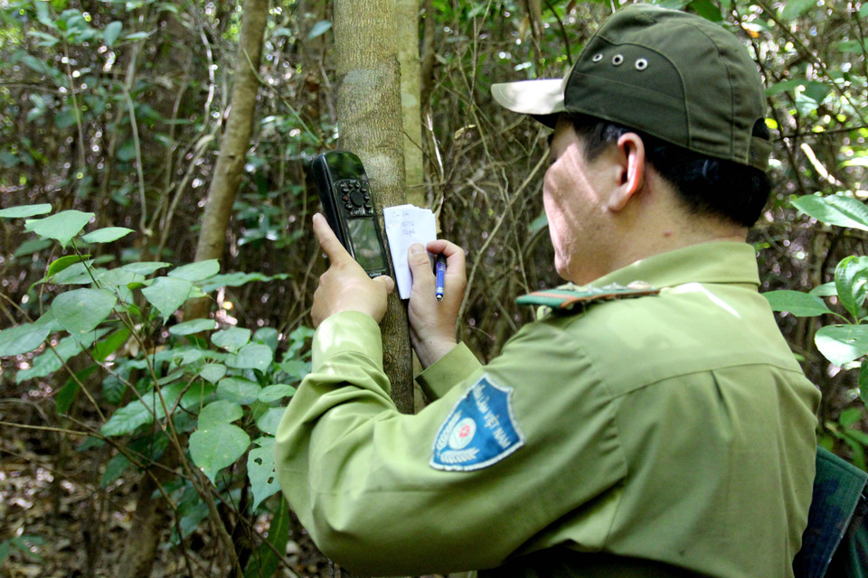 Cán bộ Kiểm lâm lưu lại tọa độ của những khu vực có bẫy thú. (Ảnh: Quốc Dũng/TTXVN)