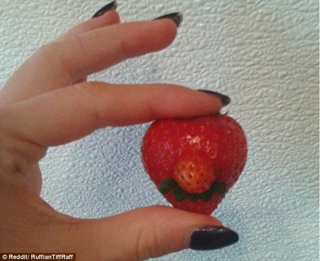 Dâu tây 2 trong 1. (Nguồn: Dailymail)