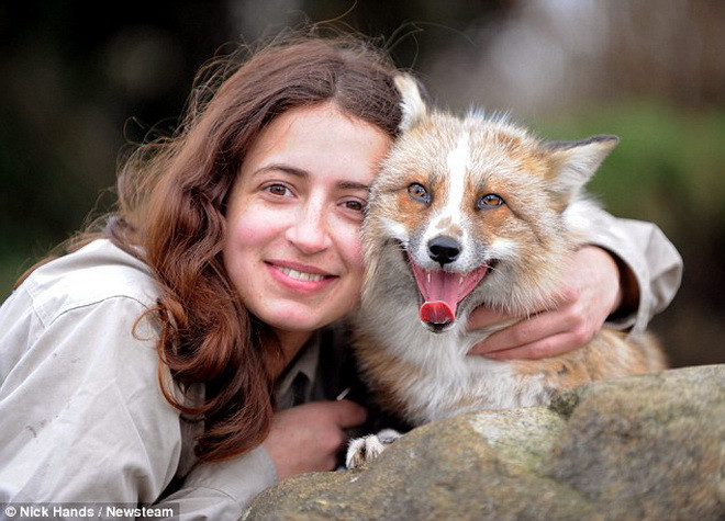 Emma nuôi Todd kể từ khi nó tròn bốn tháng tuổi. (Nguồn: Daily Mail)