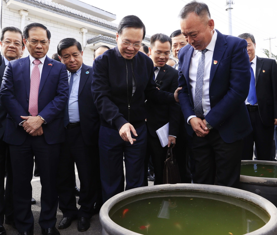 Chủ tịch nước Võ Văn Thưởng thăm mô hình điển hình xây dựng nông thôn mới tại thôn Tiểu Lỗ, xã Hắc Trang Hộ, quận Triều Dương, thành phố Bắc Kinh, Trung Quốc. (Ảnh: Thống Nhất/TTXVN)