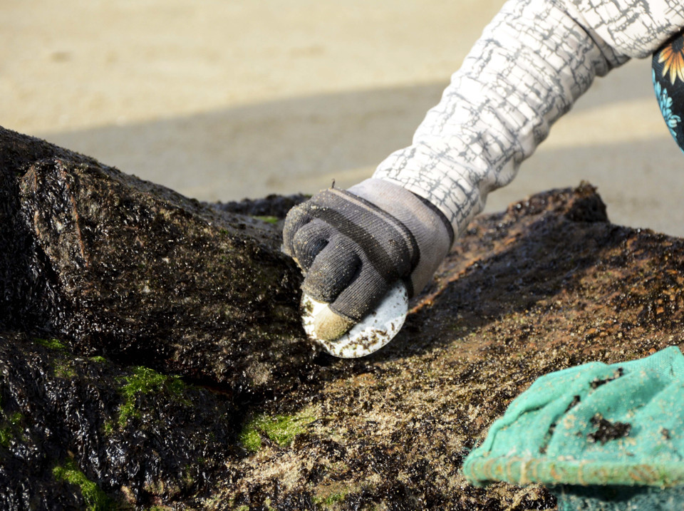 Làng chài Nam Ô (phường Hòa Hiệp Nam, quận Liên Chiểu, thành phố Đà nẵng) từ lâu đã nổi tiếng với nghề đi biển và làm nước mắm. (Ảnh: Văn Dũng/TTXVN)