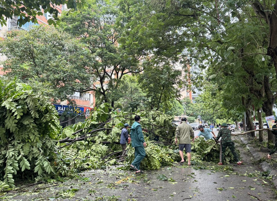 Lực lượng bộ đội cùng nhân dân tham gia khắc phục hậu quả cơn bão tại đường Dương Lâm, Khu đô thị Văn Quán, Hà Đông, Hà Nội. (Ảnh: Kim Anh/TTXVN)