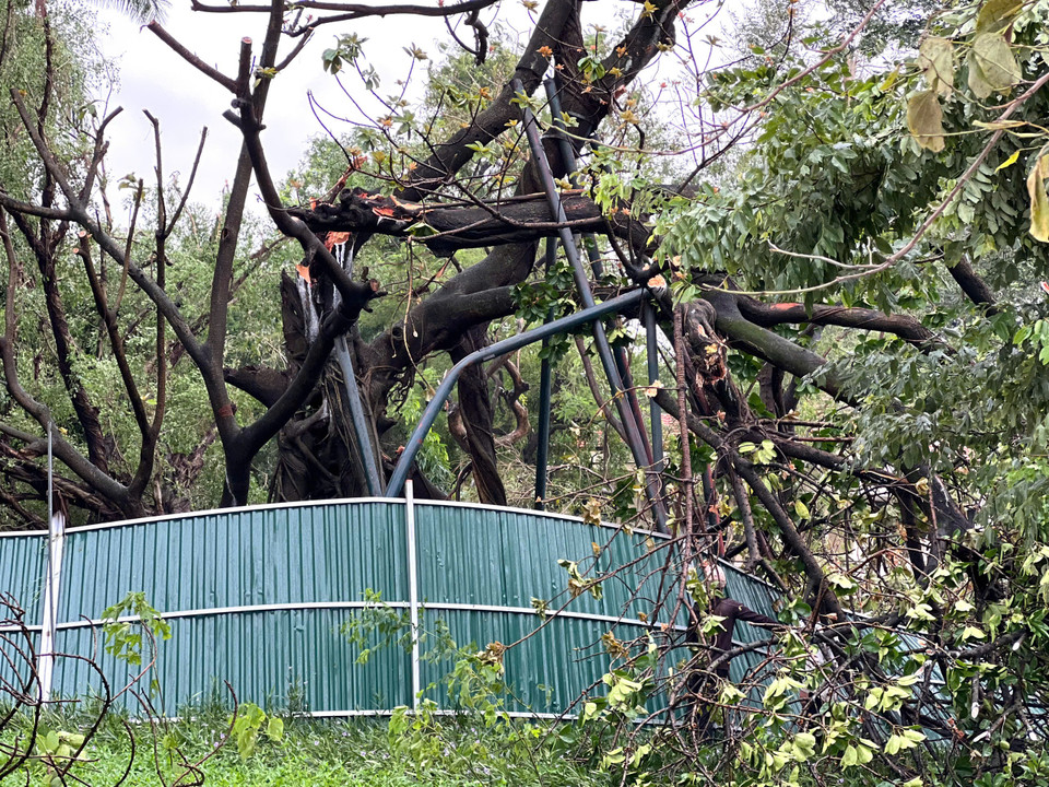 Cây đổ ở đường Nguyễn Đình Thi. (Nguồn: Vietnam+)