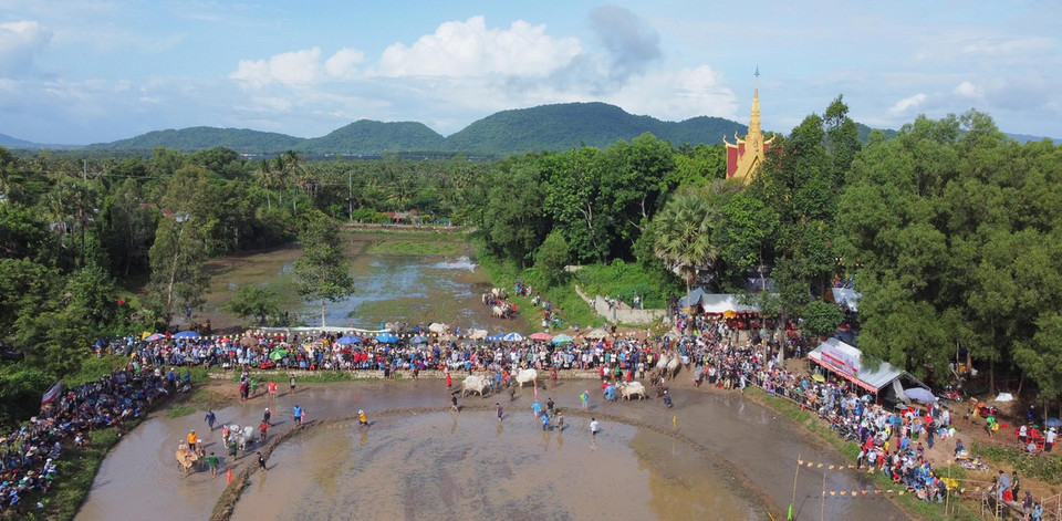Hội đua bò Chùa Rô lần thứ X năm 2024 có 24 đôi bò xuất sắc của bà con Khmer trên địa bàn huyện Tri Tôn và thị xã Tịnh Biên, tỉnh An Giang. (Ảnh: Công Mạo/TTXVN)