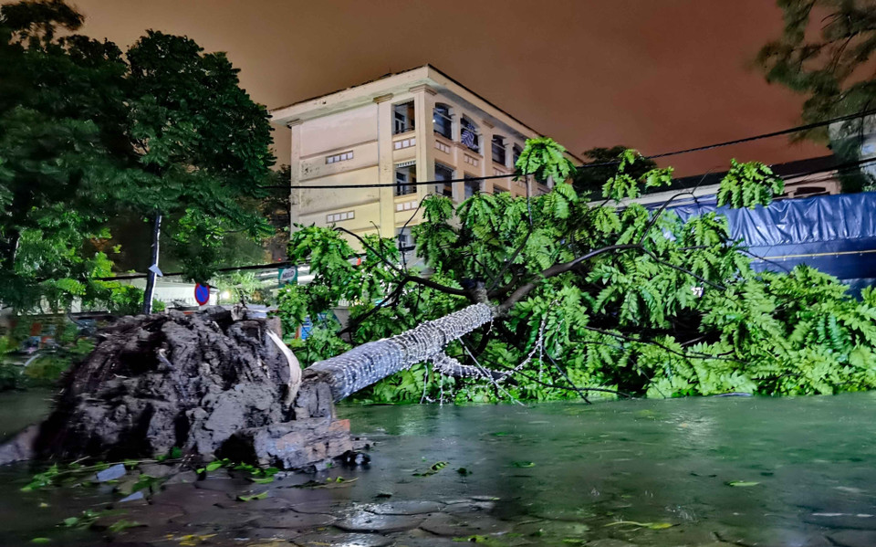 Cây đổ trên phố Dương Văn Bé. (Ảnh: Thanh Tùng/TTXVN)