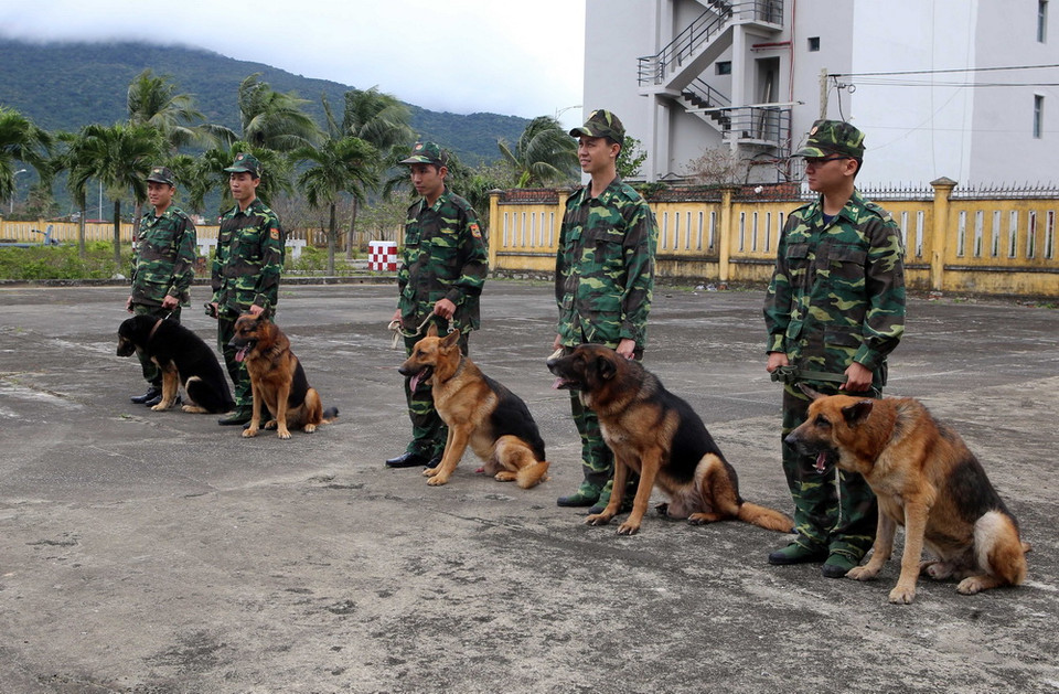 Biệt đội cảnh khuyển trong giờ tập luyện. (Ảnh: Trần Lê Lâm/TTXVN)