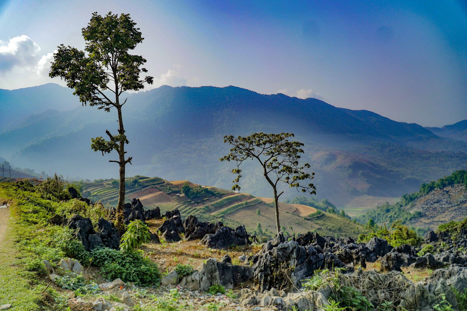 Vẻ đẹp hùng vỹ trên cao nguyên đá Tả Phìn. (Ảnh: Xuân Tư/TTXVN)