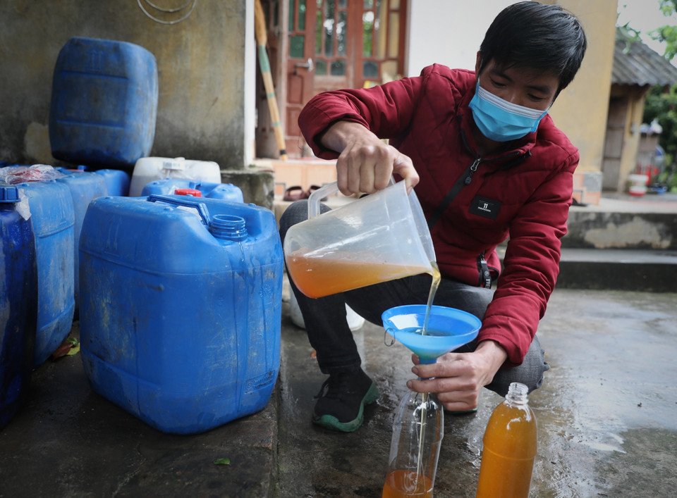 Rót mật ong hoa vải vào chai để mang đi tiêu thụ. (Ảnh: Danh Lam/TTXVN)