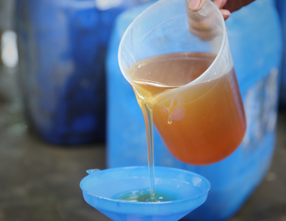 Mật ong hoa vải có màu vàng óng, mùi thơm của hoa vải. Hiện giá mật giao động từ 70 đến trên 100.000 đồng/kg, mang lại thu nhập đáng kể cho người nuôi ong. (Ảnh: Danh Lam/TTXVN)