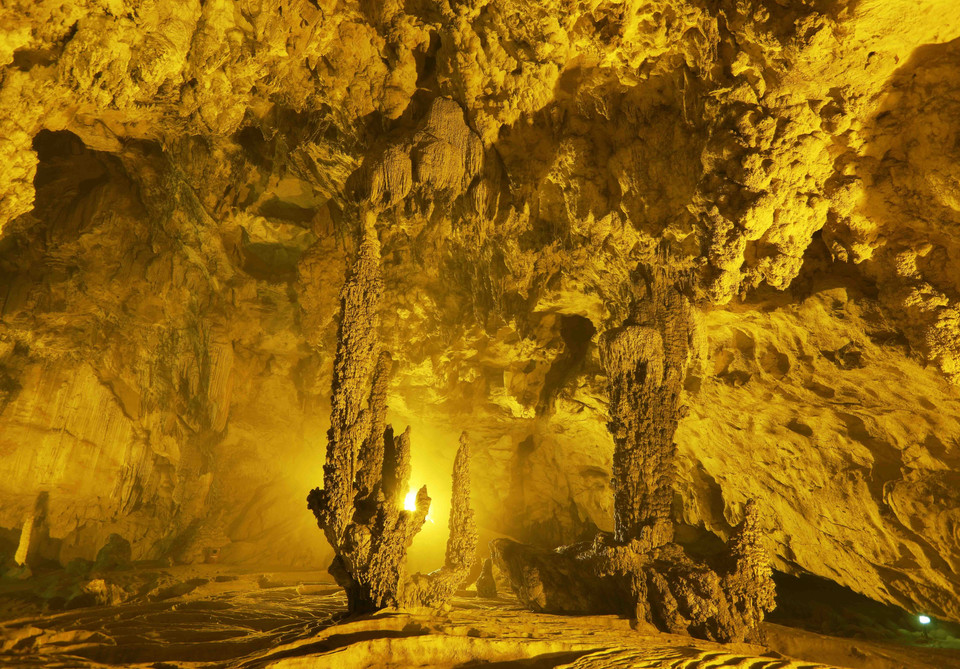 Một khối nhũ đá có hình dạng như cây xương rồng. (Ảnh: Vũ Sinh/TTXVN)