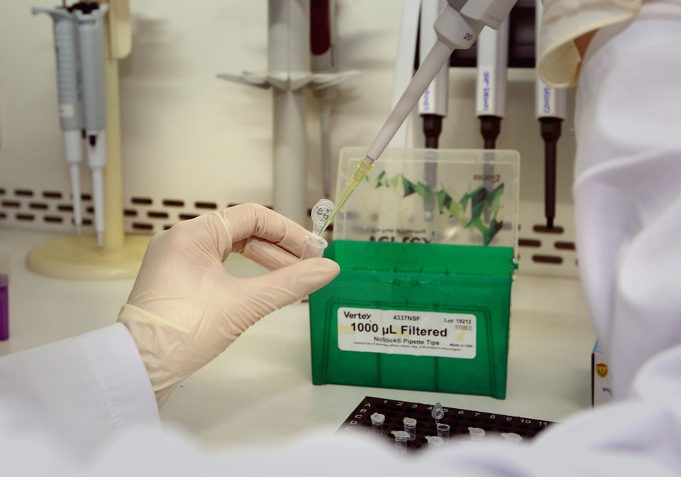 Test xác định virus SARS-CoV-2. (Ảnh: Dương Giang/TTXVN)