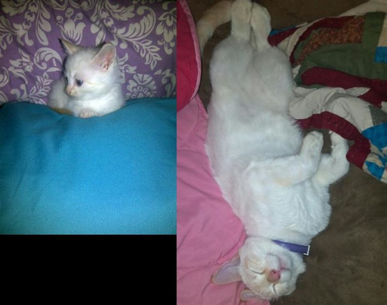 Vẫn yêu cuộc sống như ngày xưa. (Nguồn: diply.com)