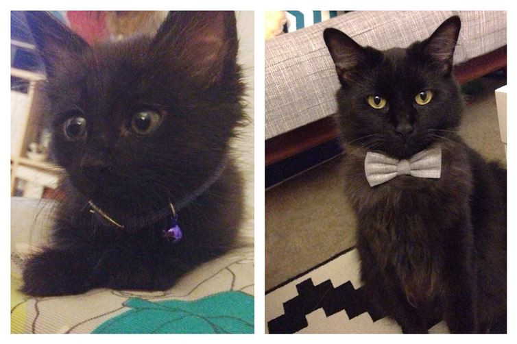 Nhìn này, tôi đã thành một quý ông sành điệu rồi. (Nguồn: diply.com)