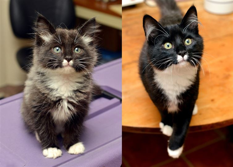 Lớn rồi mà vẫn tò mò y như khi còn bé. (Nguồn: diply.com)