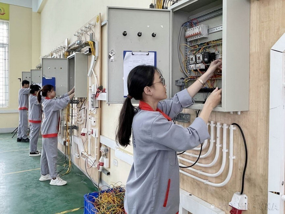 Những “bóng hồng” của ngành Công nghệ điện tử và năng lượng tòa nhà của Trường cao đẳng Cơ giới và thủy lợi (huyện Trảng Bom, Đồng Nai) vượt qua nhiều trở ngại, khó khăn và đang làm thay đổi nhận thức của xã hội "con gái thì không thể học và làm nghề kỹ thuật". (Ảnh: Lê Xuân/TTXVN)