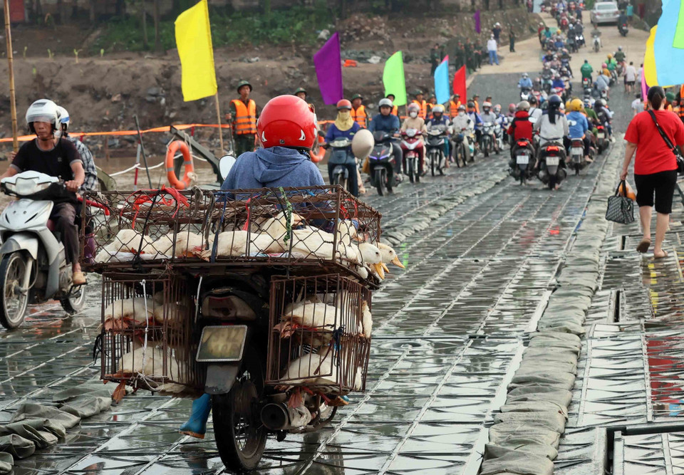 Dòng phương tiện qua cầu sau lệnh thông xe chính thức lúc 6 giờ ngày 30/9. (Ảnh: An Đăng/TTXVN)