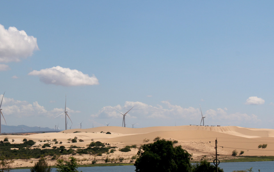 Cánh đồng điện phong tại Bàu Trắng. (Ảnh: Nguyễn Thanh/TTXVN)